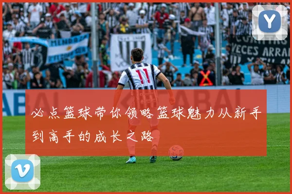 必点篮球带你领略篮球魅力从新手到高手的成长之路